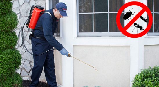 Karatay Dezenfeksiyon böcek ilaçlama ve haşere kontrolü — ilaclama-tr.com